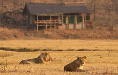 Sanctuary Makanyane Safari Lodge Madikwe Game Reserve Exterior foto